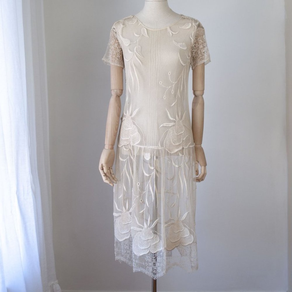 1920's Embroidered Tulle Dress